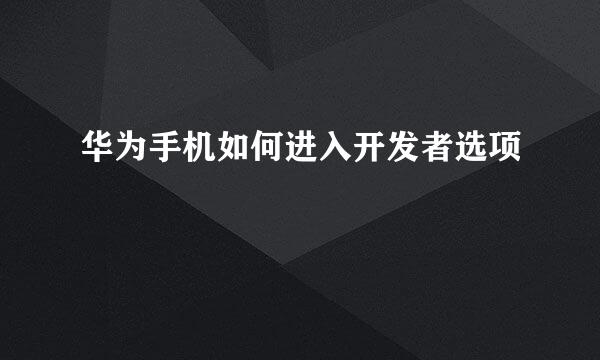 华为手机如何进入开发者选项