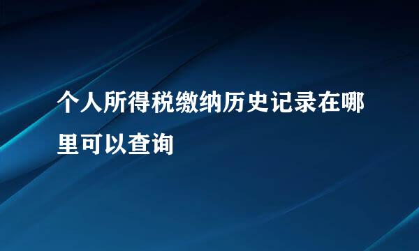 个人所得税缴纳历史记录在哪里可以查询