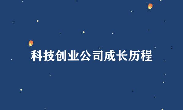科技创业公司成长历程