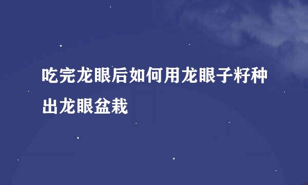 吃完龙眼后如何用龙眼子籽种出龙眼盆栽