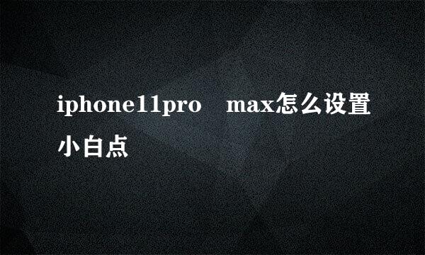 iphone11pro max怎么设置小白点