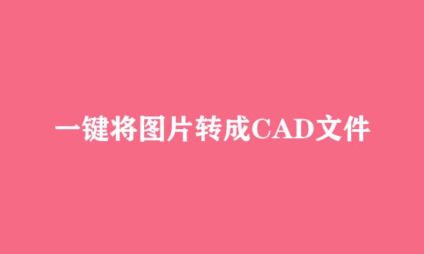 一键将图片转成CAD文件