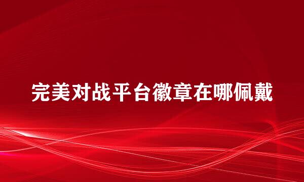 完美对战平台徽章在哪佩戴