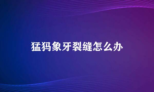 猛犸象牙裂缝怎么办