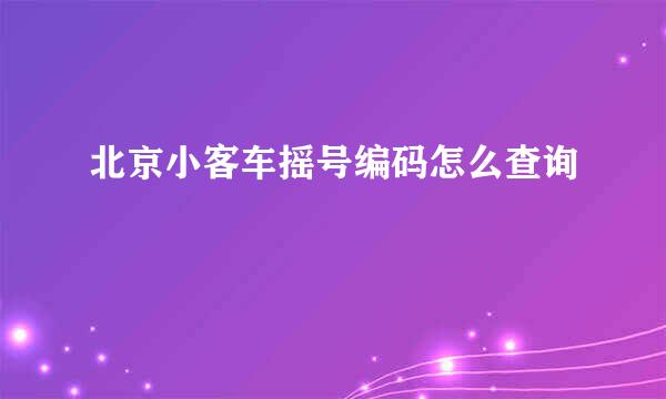 北京小客车摇号编码怎么查询