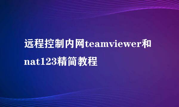 远程控制内网teamviewer和nat123精简教程