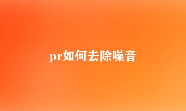 pr如何去除噪音