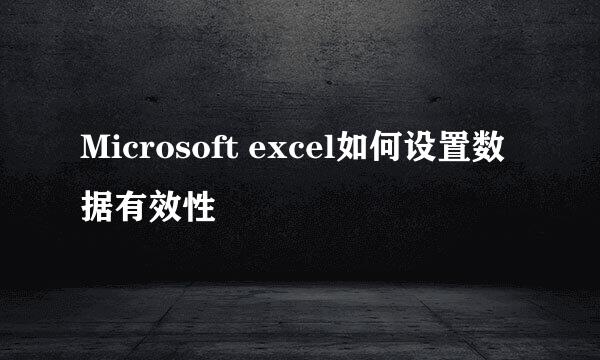 Microsoft excel如何设置数据有效性