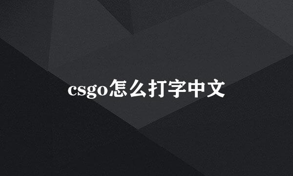 csgo怎么打字中文