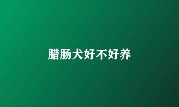 腊肠犬好不好养