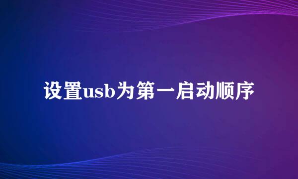 设置usb为第一启动顺序
