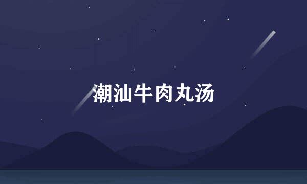 潮汕牛肉丸汤