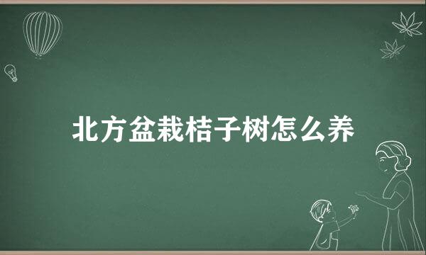 北方盆栽桔子树怎么养