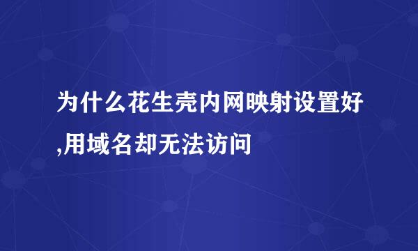 为什么花生壳内网映射设置好,用域名却无法访问