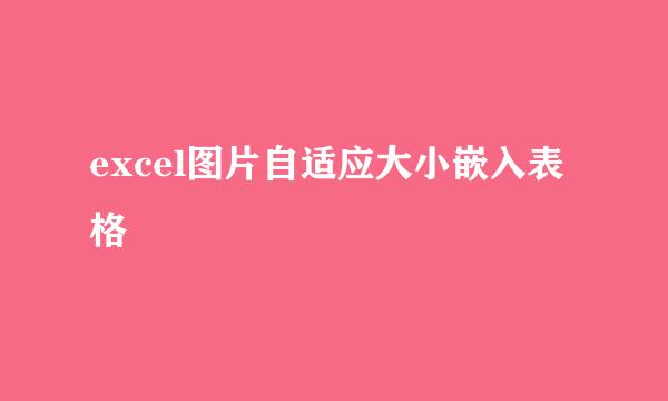 excel图片自适应大小嵌入表格