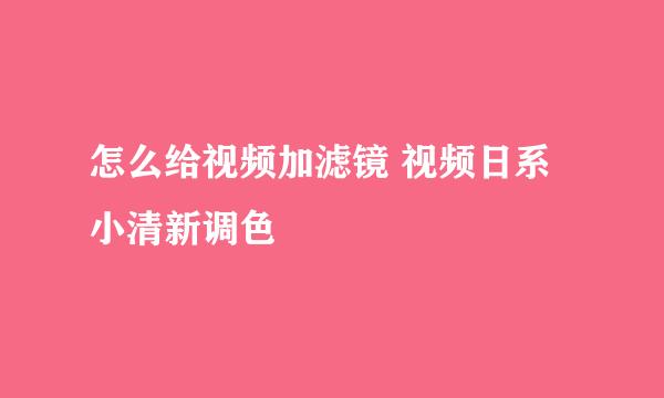 怎么给视频加滤镜 视频日系小清新调色