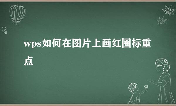 wps如何在图片上画红圈标重点