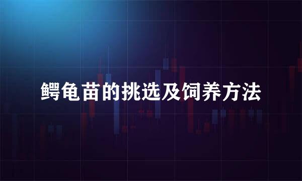 鳄龟苗的挑选及饲养方法