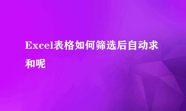 Excel表格如何筛选后自动求和呢