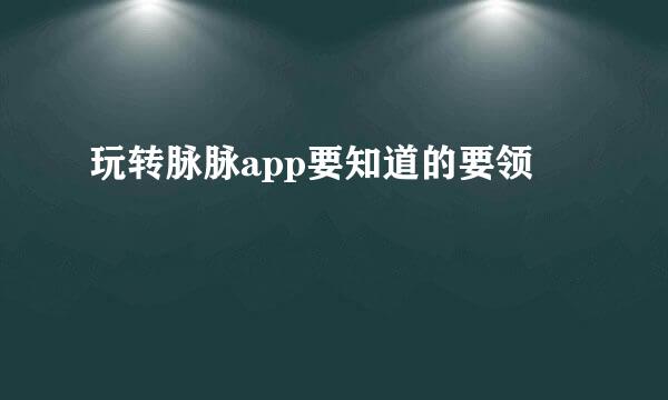 玩转脉脉app要知道的要领