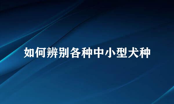 如何辨别各种中小型犬种