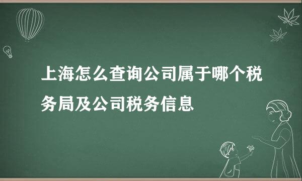上海怎么查询公司属于哪个税务局及公司税务信息