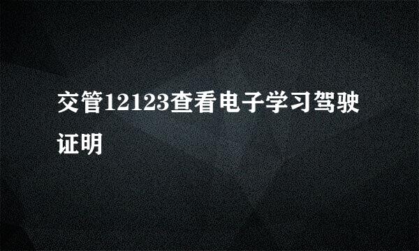 交管12123查看电子学习驾驶证明