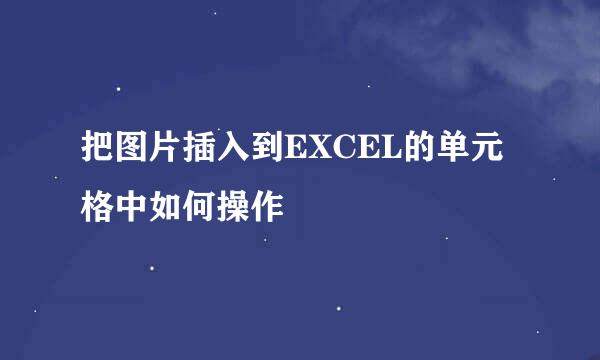 把图片插入到EXCEL的单元格中如何操作