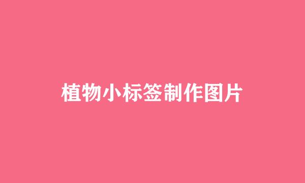 植物小标签制作图片