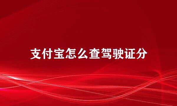 支付宝怎么查驾驶证分