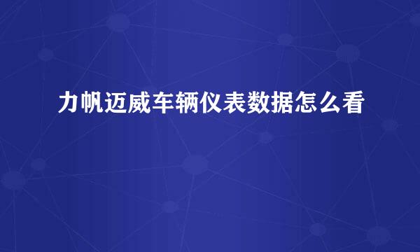力帆迈威车辆仪表数据怎么看