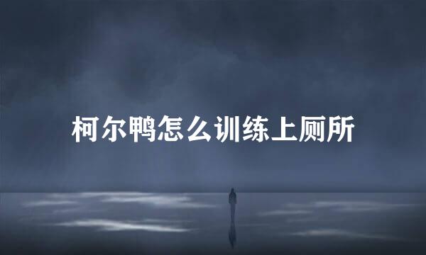 柯尔鸭怎么训练上厕所