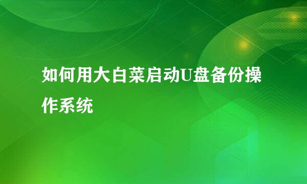 如何用大白菜启动U盘备份操作系统