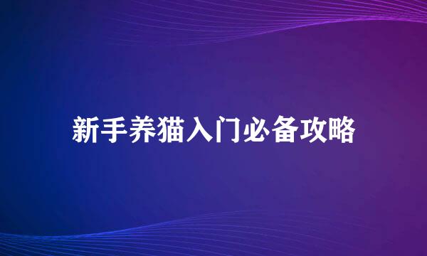 新手养猫入门必备攻略