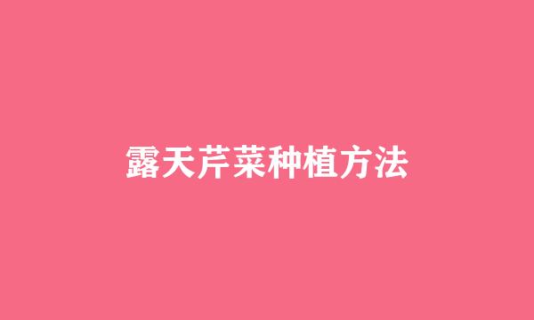 露天芹菜种植方法