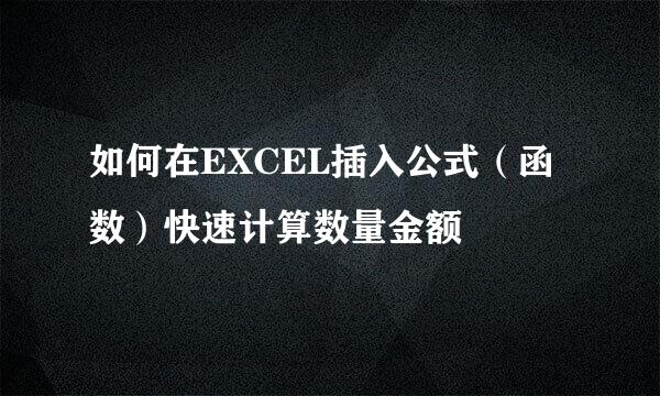 如何在EXCEL插入公式（函数）快速计算数量金额