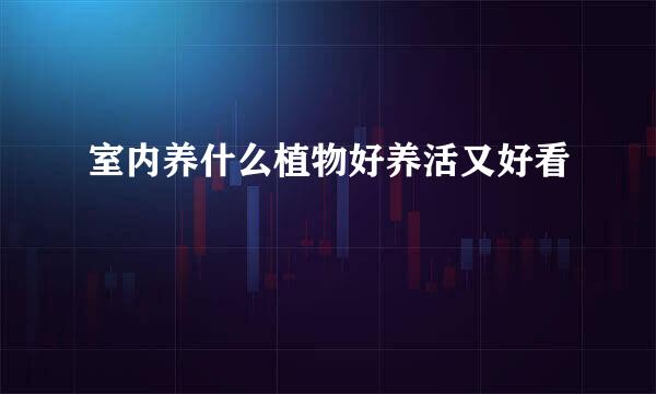 室内养什么植物好养活又好看