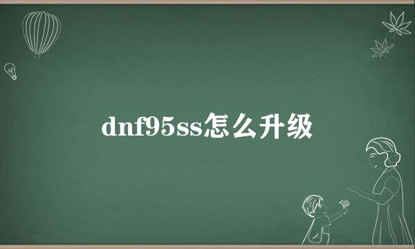dnf95ss怎么升级