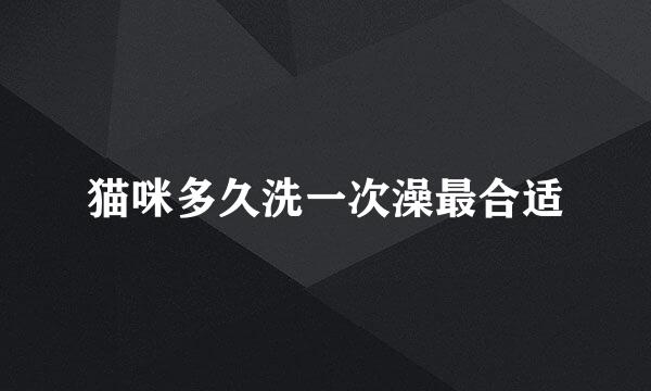 猫咪多久洗一次澡最合适
