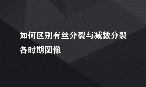 如何区别有丝分裂与减数分裂各时期图像