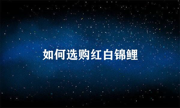 如何选购红白锦鲤