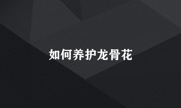 如何养护龙骨花