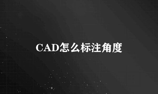 CAD怎么标注角度