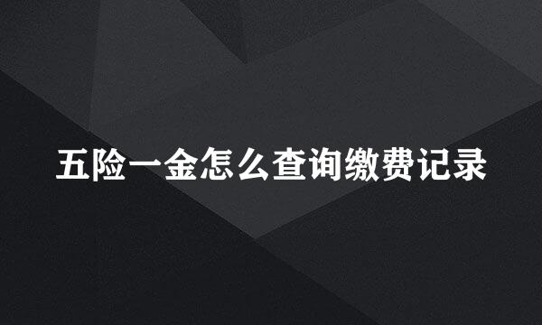 五险一金怎么查询缴费记录
