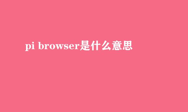 pi browser是什么意思