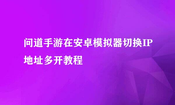 问道手游在安卓模拟器切换IP地址多开教程