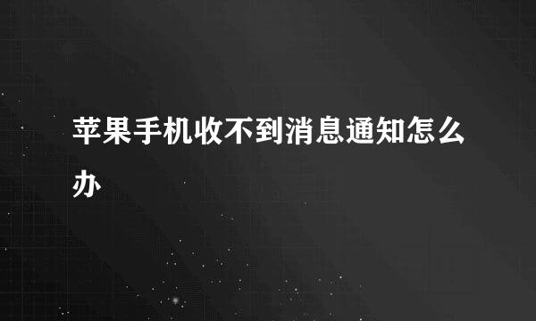 苹果手机收不到消息通知怎么办