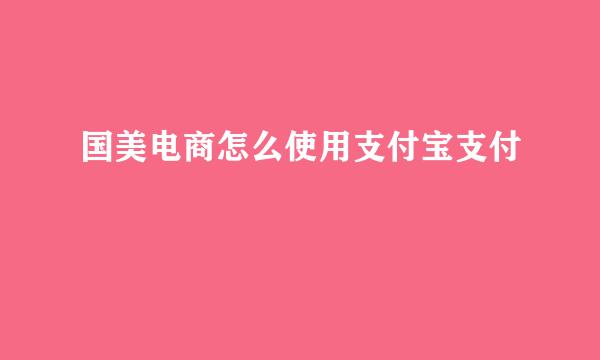 国美电商怎么使用支付宝支付