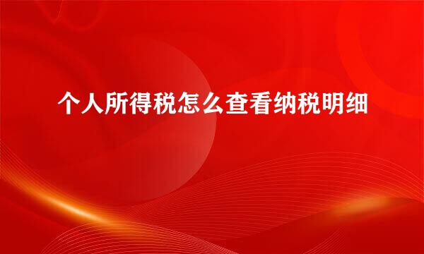 个人所得税怎么查看纳税明细