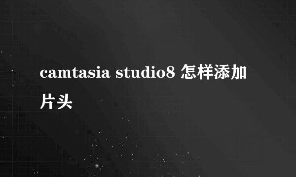 camtasia studio8 怎样添加片头